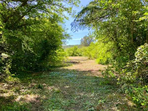 Villa d’exception à rénover – Parc arboré de 3 906 m² – Clapiers