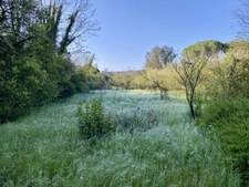 Villa d’exception à rénover – Parc arboré de 3 906 m² – Clapiers