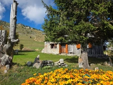 Maison à vendre 0 pièces BRIZON (74)