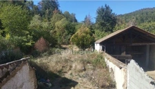 Maison 70m2 à rénover + terrain de 810 m2 - à SAIL SOUS COUZAN (42)