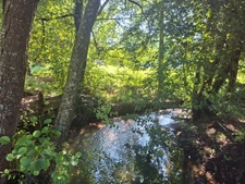 Golf resort in Périgord (24)