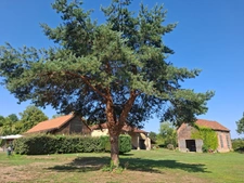 Golf resort in Périgord (24)