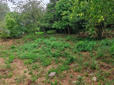 Terrain à vendre de 1 027,00 m² FALICON (06)