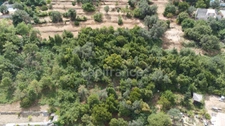 Terrains à vendre de 3160 m² FALICON (06)
