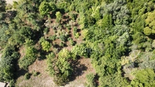 Terrain 2260m2 à vendre  FALICON (06)