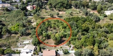 Terrain 2260m2 à vendre  FALICON (06)