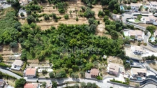 Terrains à vendre de 3160 m² FALICON (06)