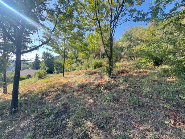 Terrain 2260m2 à vendre  FALICON (06)