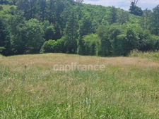 Terrain à vendre de 917  PANISSIERES (42)