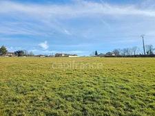 Terrain à vendre de 16 726 m²  PANISSIERES (42)