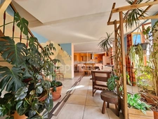 Maison à vendre 7 pièces PANISSIERES (42)