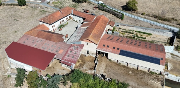 Corps de ferme à vendre 8 pièces 202 m²  6 ha COTTANCE (42)