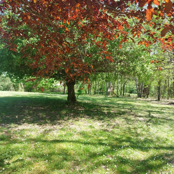 Dpt Tarn et Garonne (82), à vendre MONTAUBAN maison P7 de 216 m² - Terrain de 7 640,00 m² - Plain pied