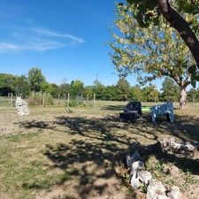 Maison à vendre 5 pièces SAINT ETIENNE DE TULMONT (82) corps de ferme rénové avec dépendance sur environ 20000m² de terrain environ