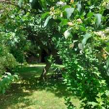 Maison à vendre 6 pièces MONTAUBAN (82) avec jardin, puits, dependances et garage