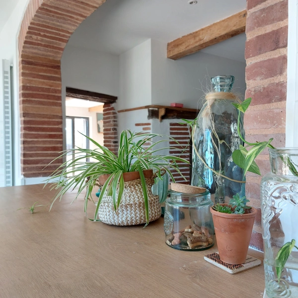 Maison à vendre 5 pièces SAINT ETIENNE DE TULMONT (82) corps de ferme rénové avec dépendance sur environ 20000m² de terrain environ