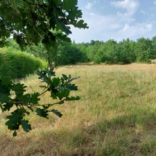 Maison à vendre 7 pièces MONTAUBAN (82) avec hangar de 150m², 6861m² de terrain avec une partie boisée.