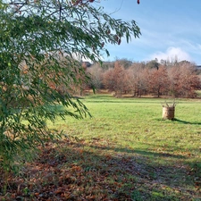 Maison à vendre 7 pièces MONTAUBAN (82) avec hangar de 150m², 6861m² de terrain avec une partie boisée.