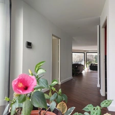 Dpt Tarn et Garonne (82), à vendre MONTAUBAN maison P7 de 216 m² - Terrain de 7 640,00 m² - Plain pied