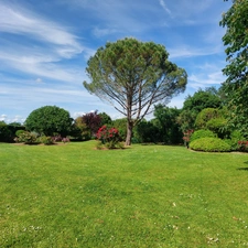 Maison à vendre 13 pièces MONTAUBAN (82), salle de reception, parking, bureaux, cave, dépendances,  parc de 8000m2, 2 entrées indépendantes 