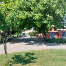 Maison à vendre 7 pièces VAISSAC (82), corps de ferme sur 26873m² de terrain avec box et nombreuses dépendances.