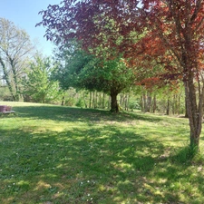 Dpt Tarn et Garonne (82), à vendre MONTAUBAN maison P7 de 216 m² - Terrain de 7 640,00 m² - Plain pied