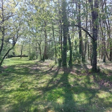 Dpt Tarn et Garonne (82), à vendre MONTAUBAN maison P7 de 216 m² - Terrain de 7 640,00 m² - Plain pied