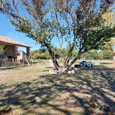 Maison à vendre 5 pièces SAINT ETIENNE DE TULMONT (82) corps de ferme rénové avec dépendance sur environ 20000m² de terrain environ