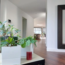 Dpt Tarn et Garonne (82), à vendre MONTAUBAN maison P7 de 216 m² - Terrain de 7 640,00 m² - Plain pied