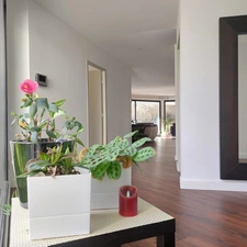 Dpt Tarn et Garonne (82), à vendre MONTAUBAN maison P7 de 216 m² - Terrain de 7 640,00 m² - Plain pied