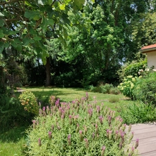 Maison à vendre 6 pièces MONTAUBAN (82) avec jardin, puits, dependances et garage