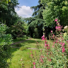 Maison à vendre 6 pièces MONTAUBAN (82) avec jardin, puits, dependances et garage