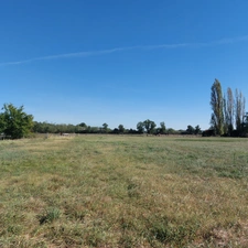 Maison à vendre 5 pièces SAINT ETIENNE DE TULMONT (82) corps de ferme rénové avec dépendance sur environ 20000m² de terrain environ