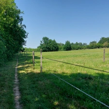 Maison à vendre 7 pièces VAISSAC (82), corps de ferme sur 26873m² de terrain avec box et nombreuses dépendances.