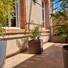 Dpt Tarn et Garonne (82), à vendre MONTAUBAN maison P6 de 185 m² -Avec terrasse et garage deux voitures