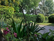 Maison à vendre 5 pièces MONTAUBAN (82)Maison d’exception dans le très prisé quartier Saint MIchel avec jardin et garage