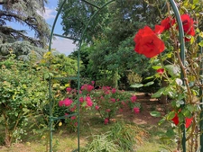 Maison à vendre 5 pièces MONTAUBAN (82)Maison d’exception dans le très prisé quartier Saint MIchel avec jardin et garage