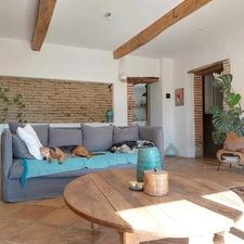 Maison à vendre 5 pièces SAINT ETIENNE DE TULMONT (82) corps de ferme rénové avec dépendance sur environ 20000m² de terrain environ