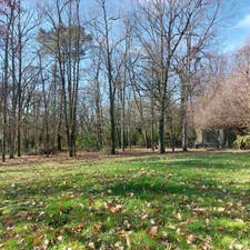 Dpt Tarn et Garonne (82), à vendre MONTAUBAN maison P7 de 216 m² - Terrain de 7 640,00 m² - Plain pied