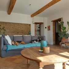 Maison à vendre 5 pièces SAINT ETIENNE DE TULMONT (82) corps de ferme rénové avec dépendance sur environ 20000m² de terrain environ