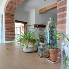 Maison à vendre 5 pièces SAINT ETIENNE DE TULMONT (82) corps de ferme rénové avec dépendance sur environ 20000m² de terrain environ