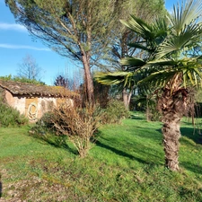 Maison à vendre 7 pièces MONTAUBAN (82) avec hangar de 150m², 6861m² de terrain avec une partie boisée.