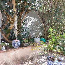 Maison à vendre 4 pièces MONTAUBAN (82) avec jardin et dépendance.