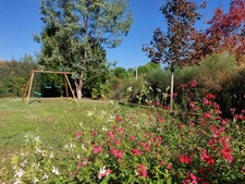 Dpt Tarn et Garonne (82), à vendre MONTAUBAN maison P5 de 178,56 m² - Terrain de 2 187,00 m² avec piscine, garage et pool house