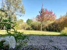 Dpt Tarn et Garonne (82), à vendre MONTAUBAN maison P5 de 178,56 m² - Terrain de 2 187,00 m² avec piscine, garage et pool house