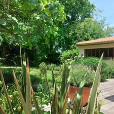 Maison à vendre 6 pièces MONTAUBAN (82) avec jardin, puits, dependances et garage