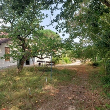 Maison à vendre 7 pièces MONTAUBAN (82) avec hangar de 150m², 6861m² de terrain avec une partie boisée.