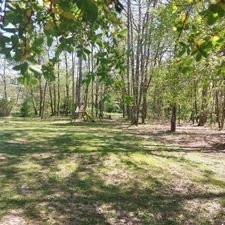 Dpt Tarn et Garonne (82), à vendre MONTAUBAN maison P7 de 216 m² - Terrain de 7 640,00 m² - Plain pied