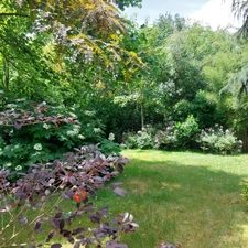 Maison à vendre 6 pièces MONTAUBAN (82) avec jardin, puits, dependances et garage
