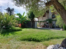 Maison à vendre 7 pièces MONTAUBAN (82) avec chambres d'hôtes, piscine, jardin et dépendance.